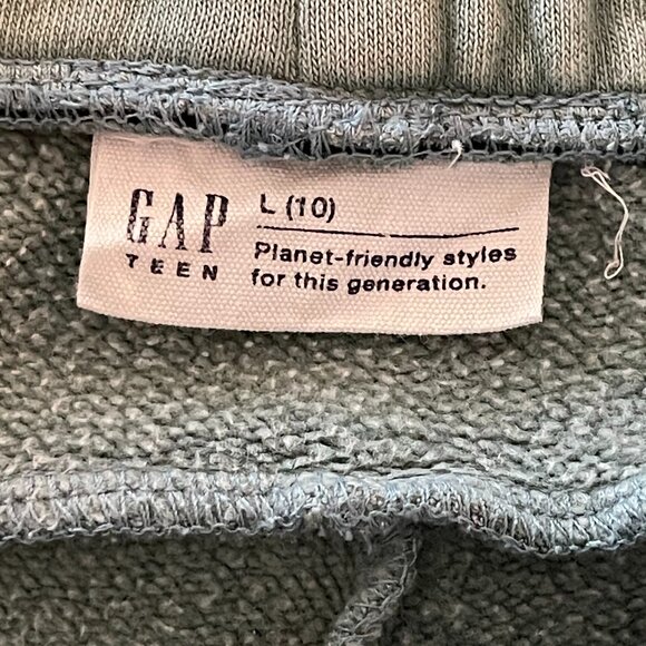 GAP Teen Pullover Hoodie and Pull-On Sweatpants Size L (10) Color District Green - Picture 4 of 8